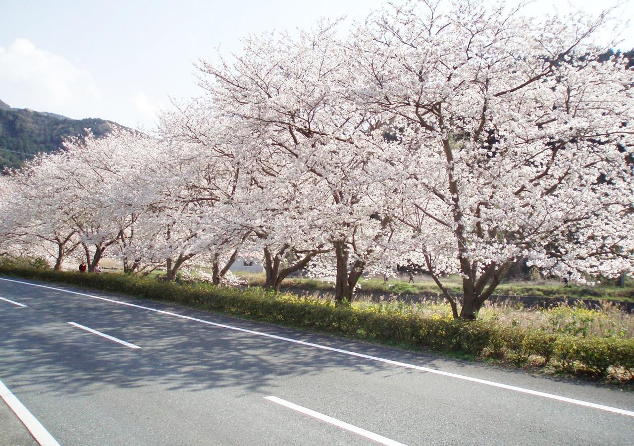 Nishiizu Matsuzaki Itoen Hotel Exterior foto